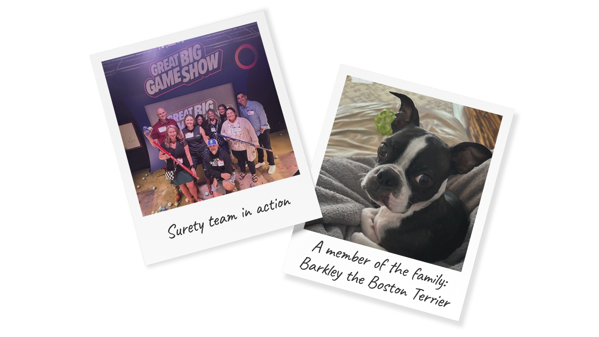 Polaroid images: Kristi Davis at a team event with her Surety team and on the right her Boston Terrier