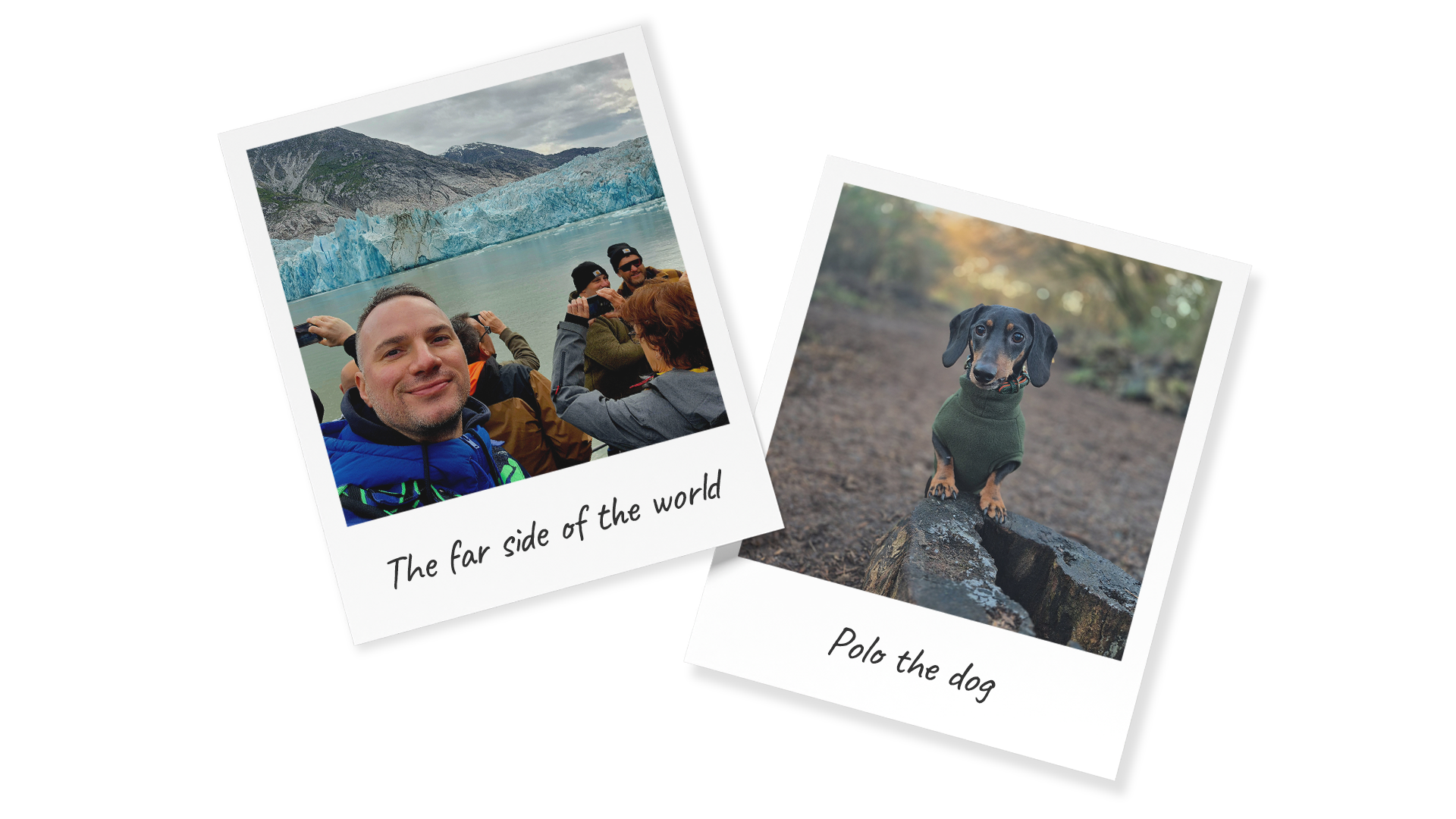 Polaroid images: one of Dominic Masny and one of his dog Polo